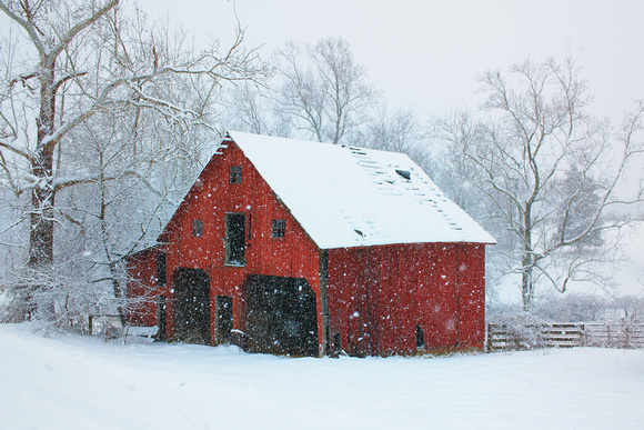 Red Barn in Snowstorm