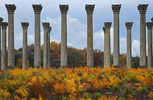 Capitol Columns, National Arboreatum, Washington, DC